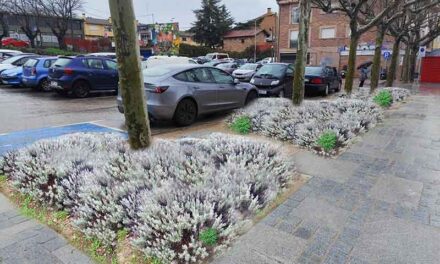 El PSOE de Torrelodones plantea crear espacios naturales en calles y plazas