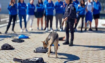 Alumnos de 4º+ Empresa conocen el día a día de la Policía local de Majadahonda
