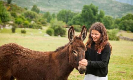 La Sierra de Guadarrama muestra su naturaleza y cultura en el Festival de Campo 2025