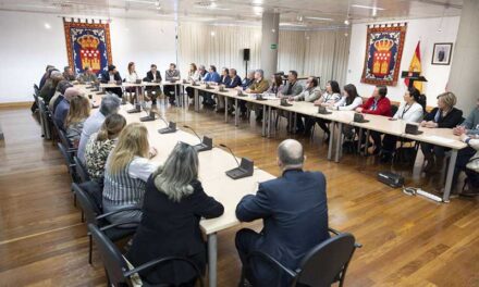 VOX Majadahonda reivindica en la Asamblea la finalización de la M-50