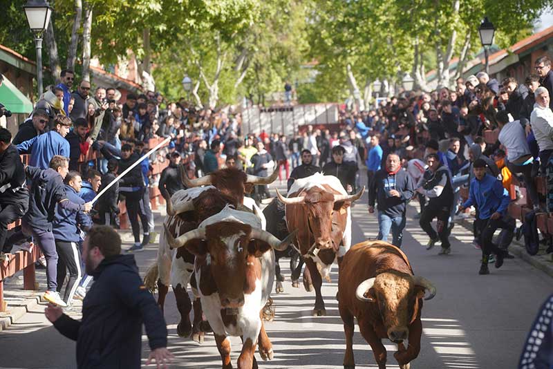 Las Matas retoma las Fiestas de San José este fin de semana