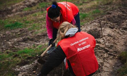 Alcampo destinará 95.000 euros a cinco proyectos relacionados con la buena alimentación