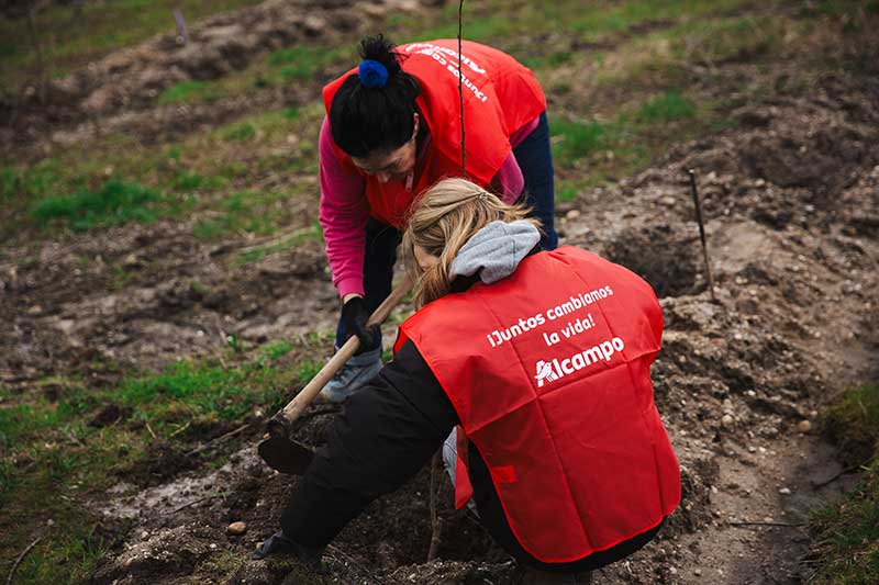 Alcampo destinará 95.000 euros a cinco proyectos relacionados con la buena alimentación