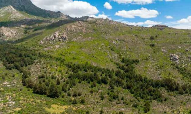 Aprobada la ampliación del Parque Nacional de la Sierra de Guadarrama en 1.600 hectáreas