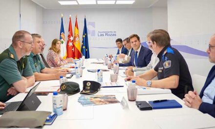 Descenso en Las Rozas de la criminalidad convencional que baja un 7,4%
