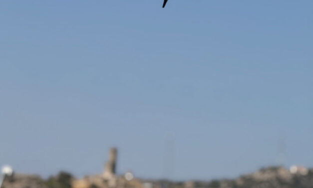 La Policía Local de Torrelodones incorpora una unidad de drones para vigilancia y emergencias