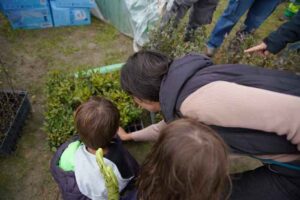 Educación ambiental en Las Rozas