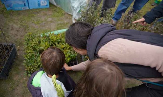 Las Rozas programa actividades de educación ambiental para el otoño
