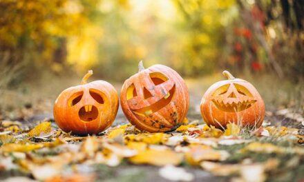 Fin de semana de Halloween en Las Rozas y la ruta de los santos