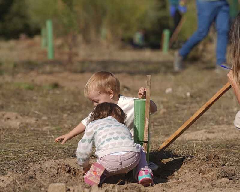 Las Rozas abre el plazo para solicitar el cheque bebé de 1.000 euros