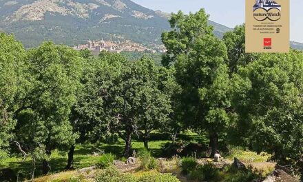 San Lorenzo de El Escorial acoge el VIII Encuentro de Turismo de Observación de la Naturaleza