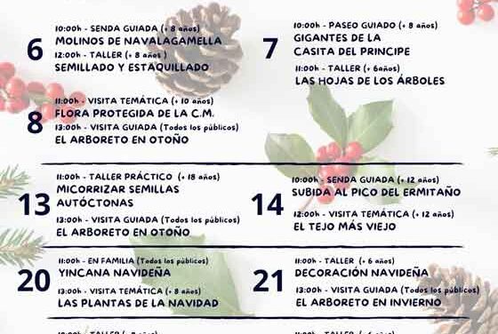 Llega la nueva propuesta del Arboreto Luis Ceballos para el mes de diciembre