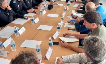 Majadahonda pondrá en marcha un dispositivo especial de seguridad en Navidad