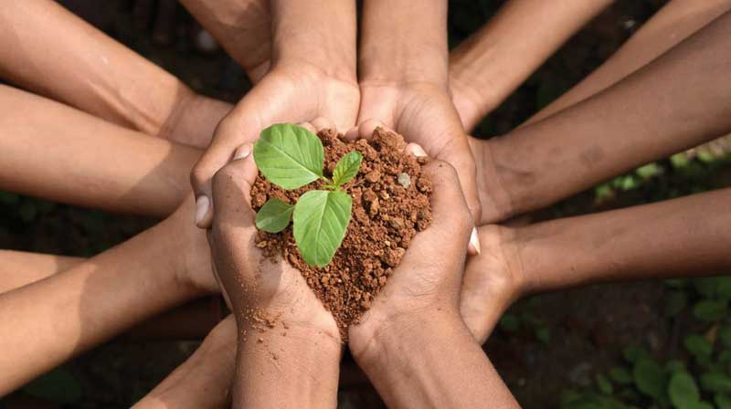 Los ocho colegios del Grupo Educare se unen para educar cuidando el planeta