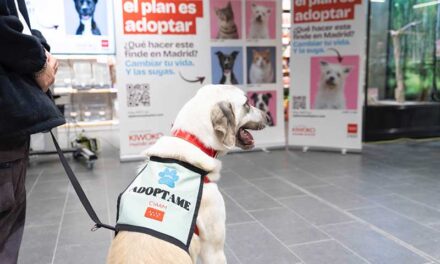 La Comunidad pone en marcha una campaña para fomentar la tenencia responsable de animales de compañía