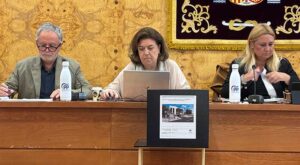 desvelaron durante el Pleno “otro gran engaño de Vecinos por Torrelodones sobre el aparcamiento de la estación”.