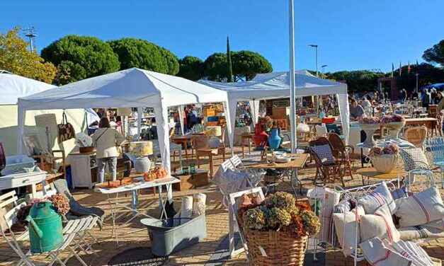 Las Rozas acoge el Gran Desembalaje en el recinto ferial