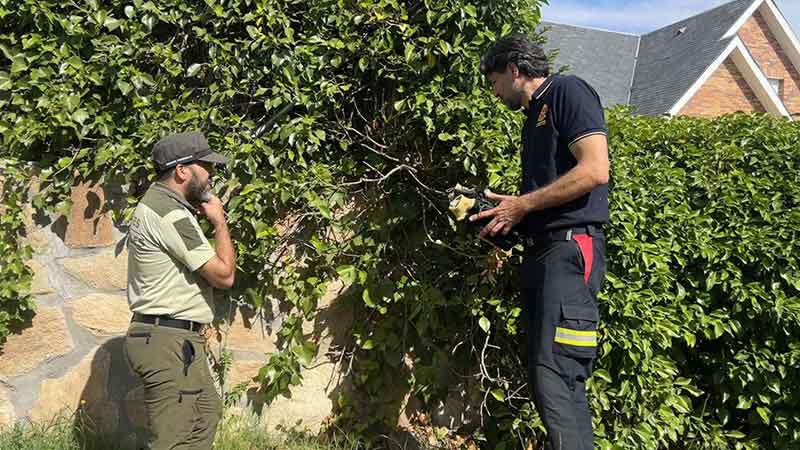 La Comunidad pone en marcha una campaña para alertar del peligro de las arizónicas