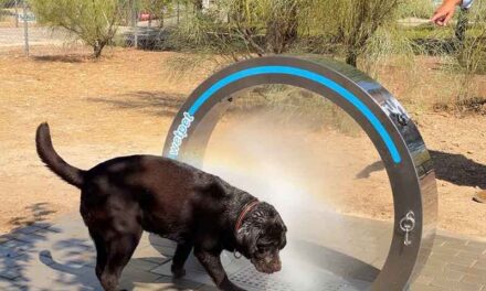 Las Rozas instala arcos de agua en sus zonas caninas para refrescar a los perros