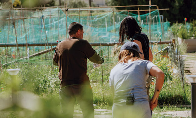El Jardín Terapéutico de Las Rozas amplía grupos y horarios para combatir el estrés con naturaleza y arte
