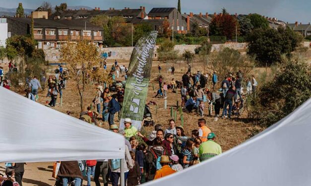 Las Rozas planta 2.000 ejemplares autóctonos con más de 3.000 vecinos en la Gran Plantación Familiar